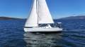 Van De Stadt Helena 38 SUPERBLY BUILT, CAPABLE AND COMFORTABLE CRUISER