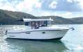 Arvor 905 Sportsfish