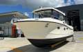 Arvor 905 Sportsfish