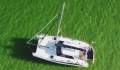 Rogers 10.0 North Reef:Top View