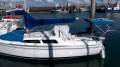 Catalina 250