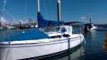 Catalina 250