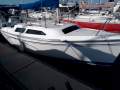Catalina 250
