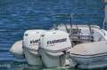 TMS 7.6 RIGID INFLATABLE BOAT