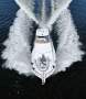 Riviera 37 Open Flybridge - All the comforts of home