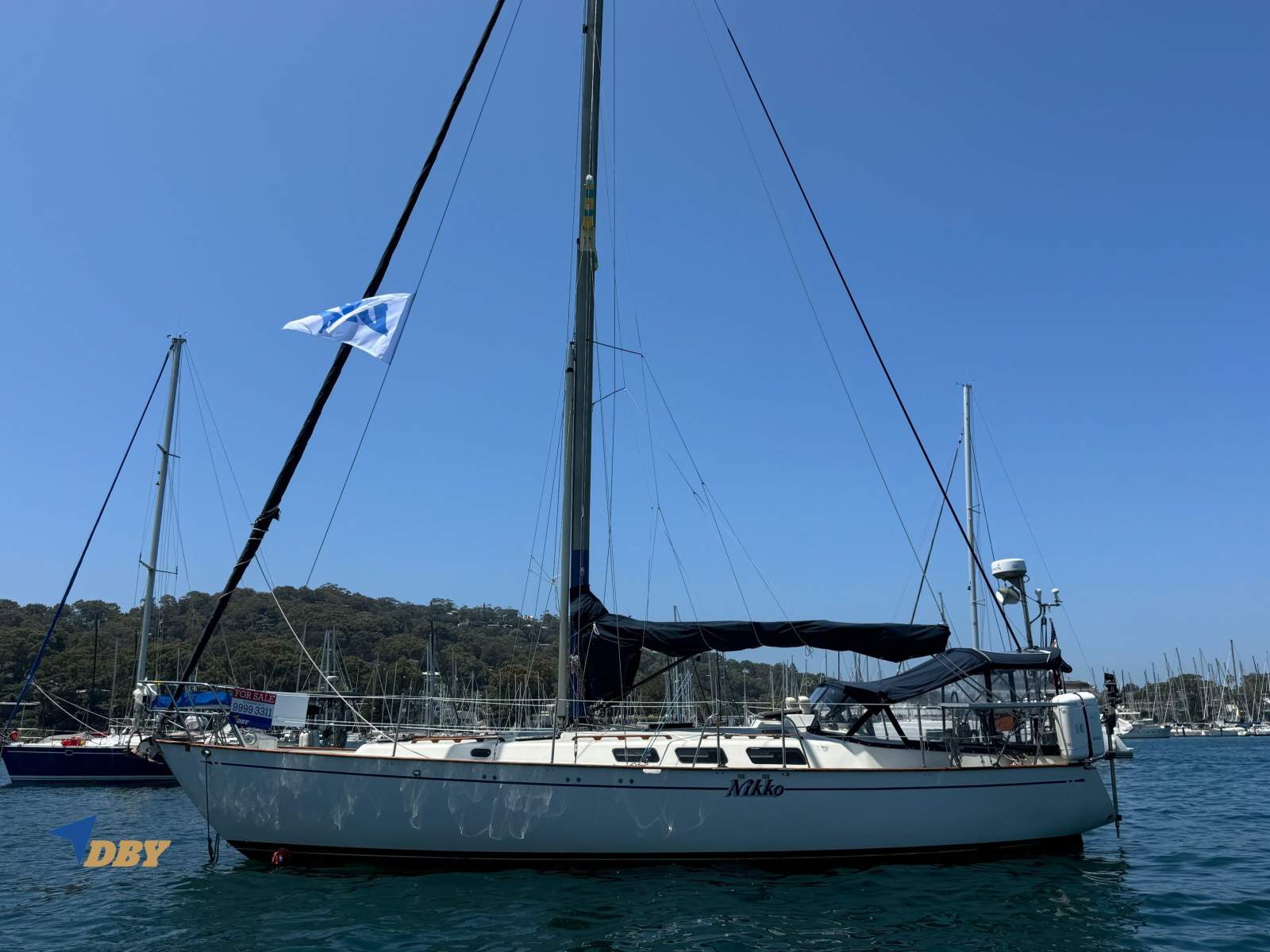 Fraser 41