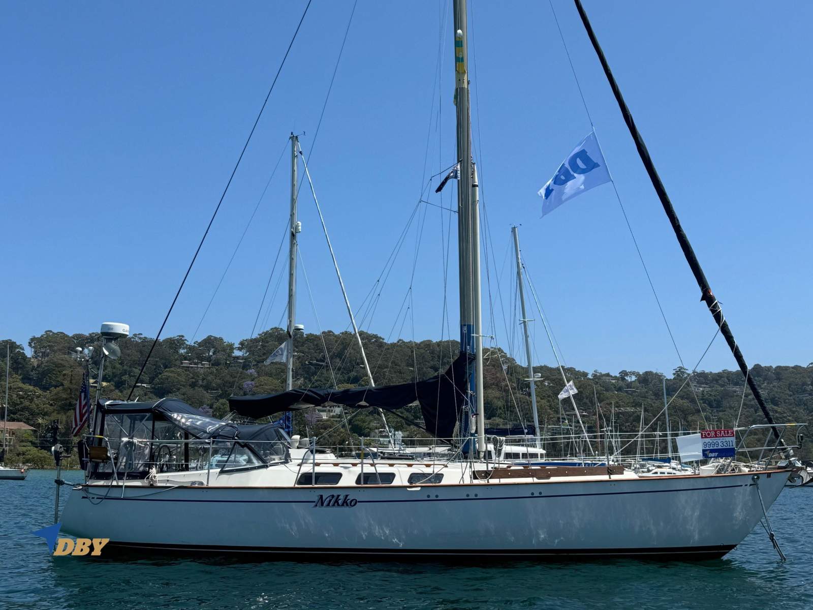 Fraser 41
