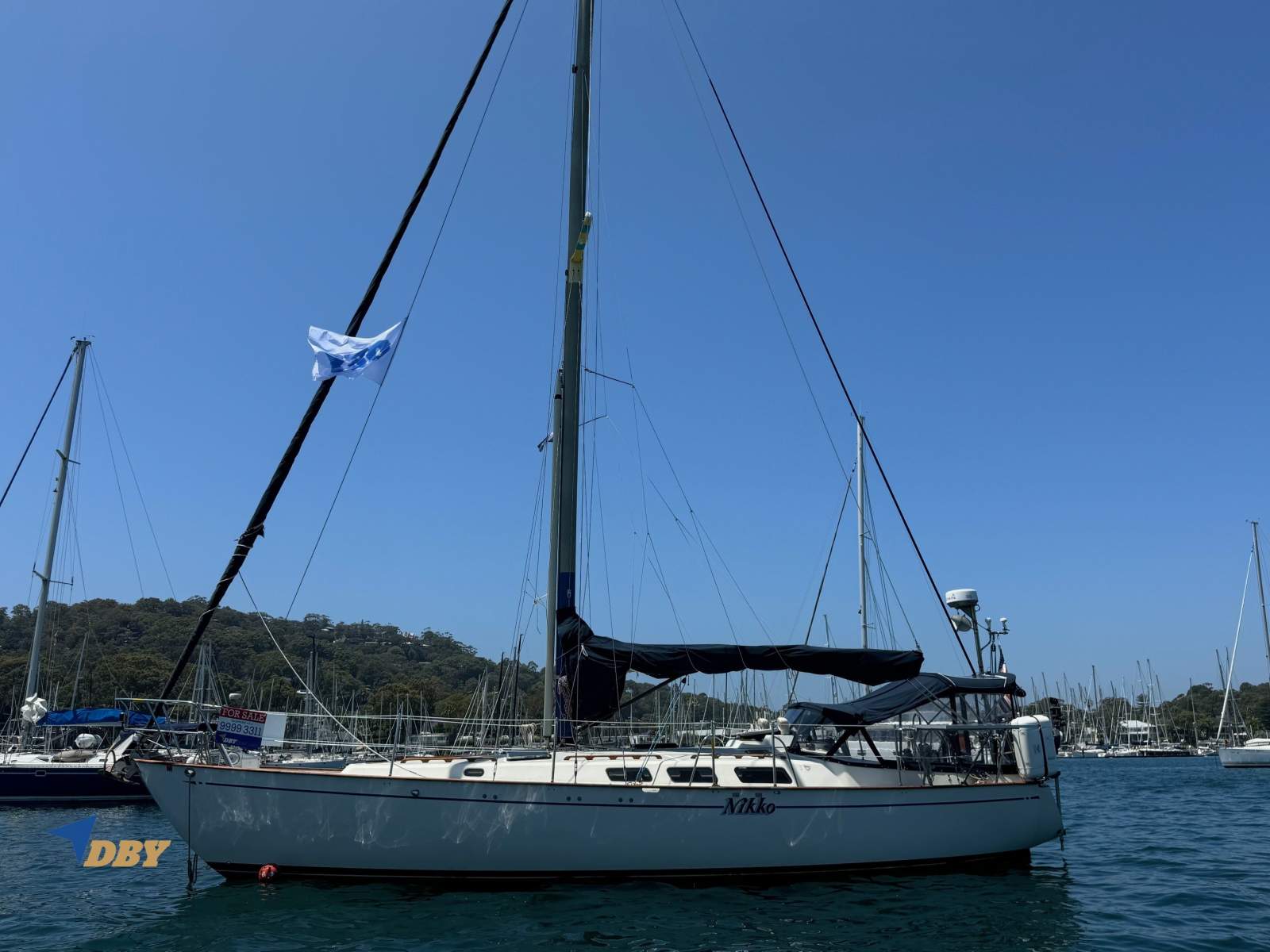 Fraser 41