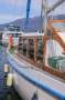 Custom 40ft Tasmanian Huon Pine Motorsailor