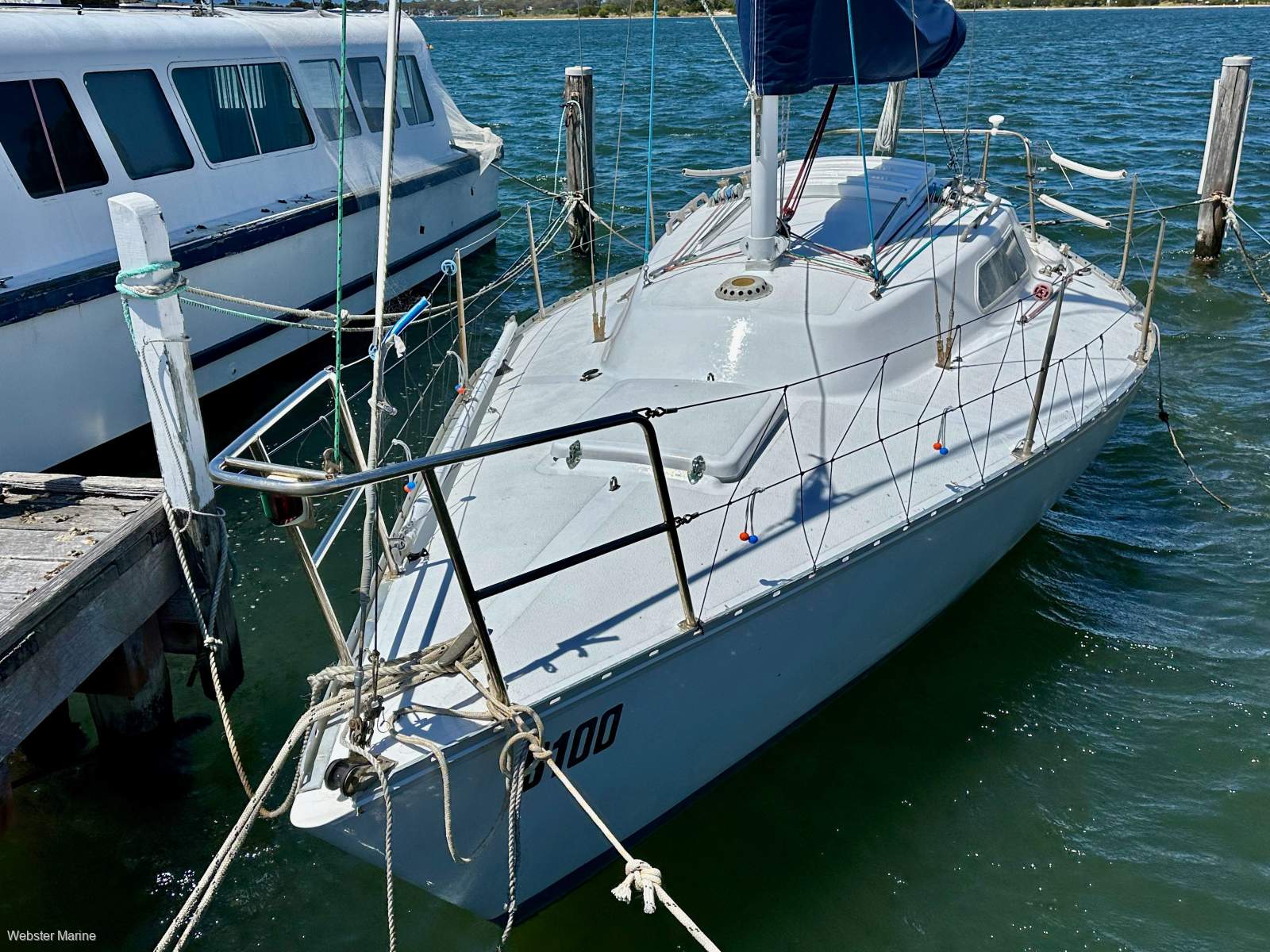 Holland 25