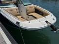 Sea Ray 290 SDX OB