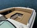 Sea Ray 290 SDX OB