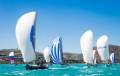 Sydney Yachts 41:Sydney 41 for sale with Race Yachts