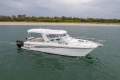 Powercat 3100 Sportscruiser 2011