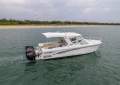 Powercat 3100 Sportscruiser 2011