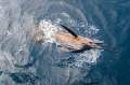Coral Bay Fishing Charter Opportunity