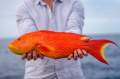 Coral Bay Fishing Charter Opportunity