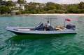 Scorpion Serket 88:2013 Scorpion Serket 88