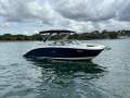 Sea Ray 290 SDX