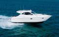Mustang 32 Maritimo