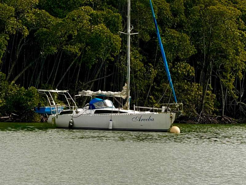 Adams 10.6