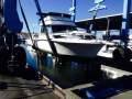 Premier 900 Flybridge:In the slings
