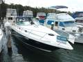 Mustang 3800 Sportcruiser