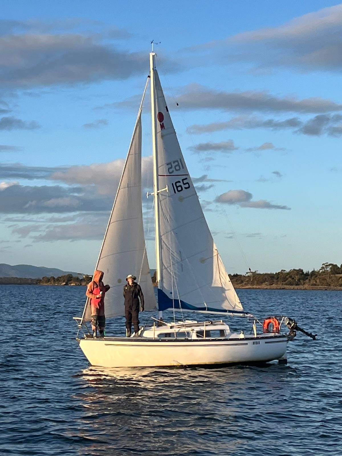 Sunmaid 20