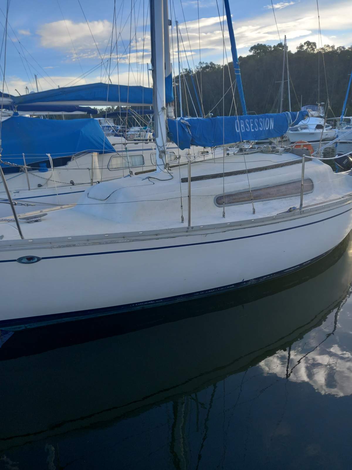 Triton 24