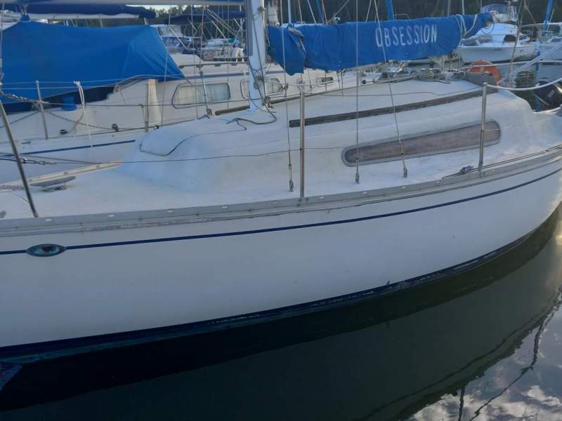 Triton 24