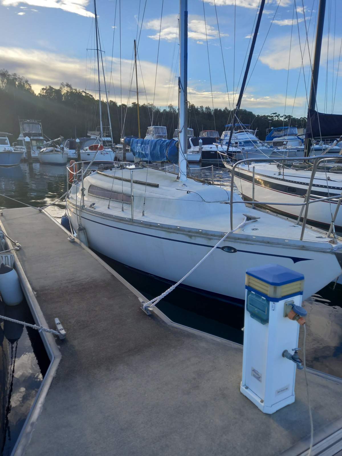 Triton 24