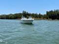 Mustang 2300 Bowrider