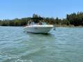 Mustang 2300 Bowrider