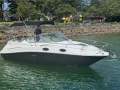 Sea Ray 245 Sundancer