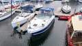 Chaparral 310 Signature HIGH VOLUME SPACIOUS CRUISER