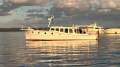 Millkraft Classic Timber Cruiser