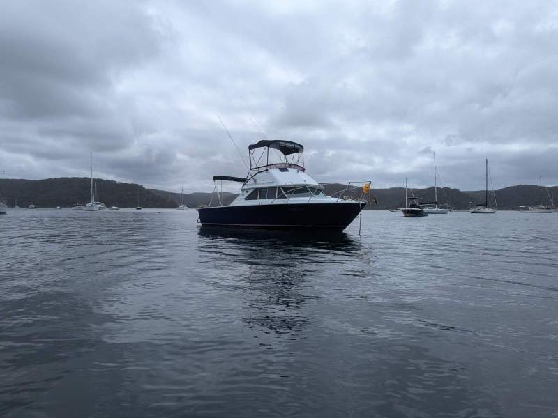 Bertram 28 Flybridge