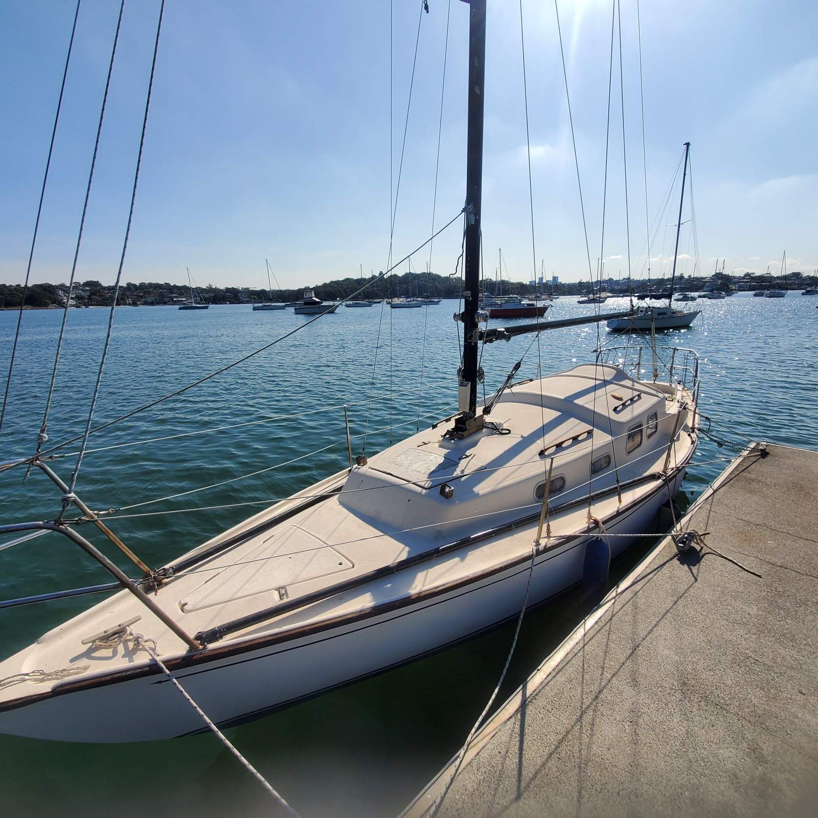Compass 28