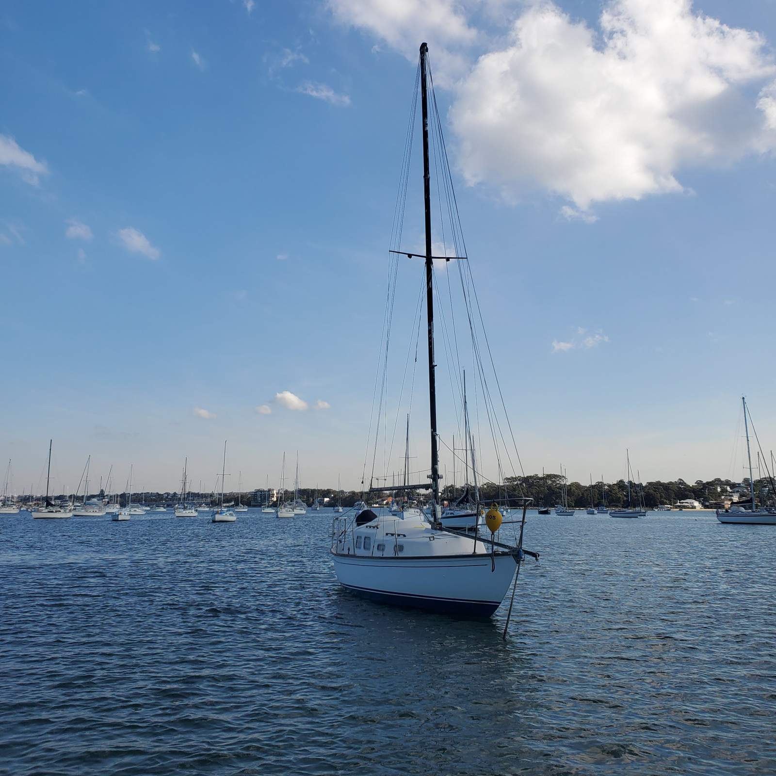 Compass 28