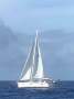 Catalina 425