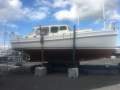 Henry Shield Motor Sailor