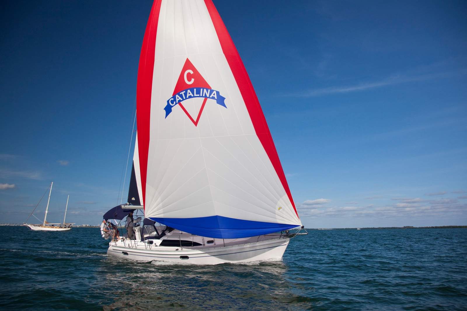 Catalina 316