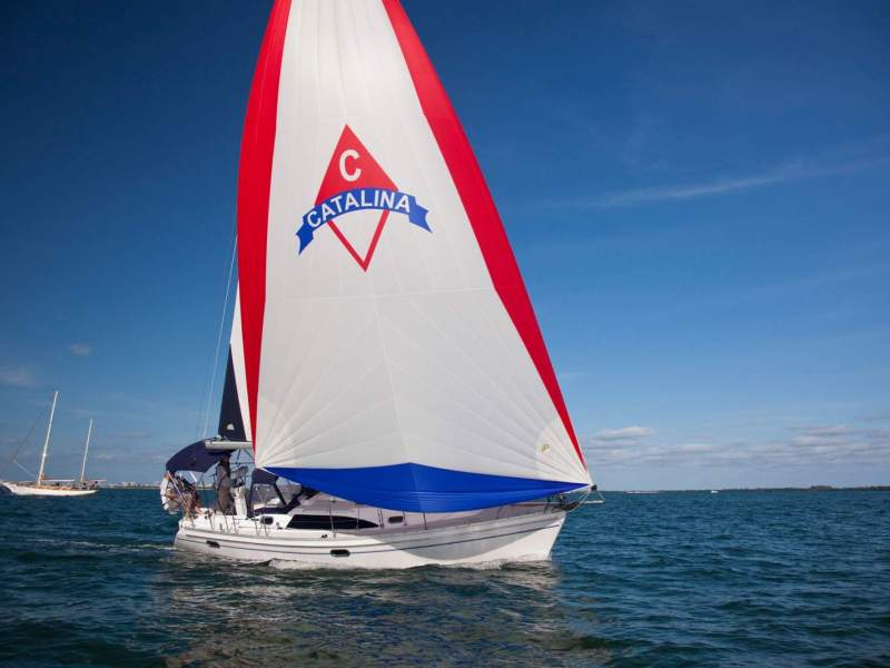 Catalina 316