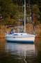Catalina Catalina 356