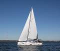 Catalina Catalina 426