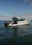 Saxdor Yachts 320 GTC