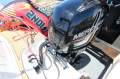 Sea Ray 19 SPX OB