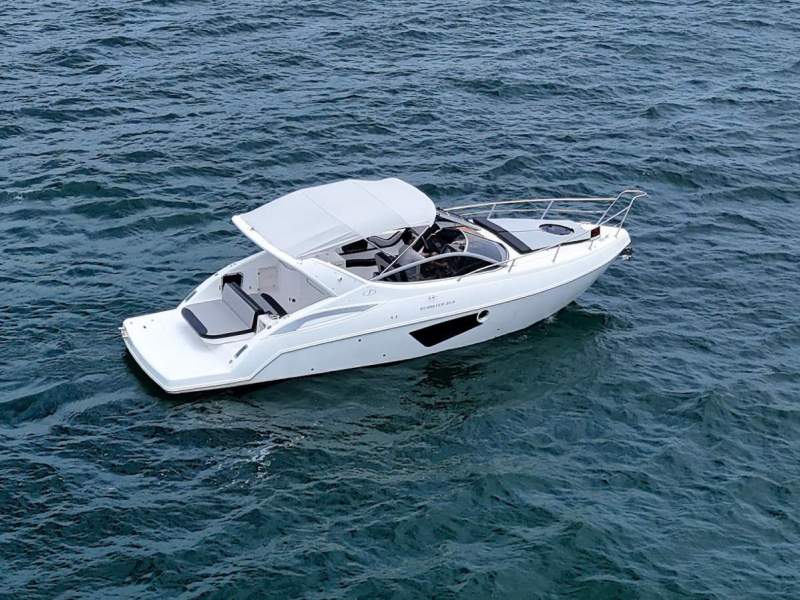 Schaefer 303