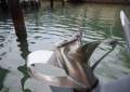 Protector 410 Targa *** TOUGH LUXURY ! ***