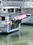 Tripcony 48 Bridgedeck Motor Cruiser
